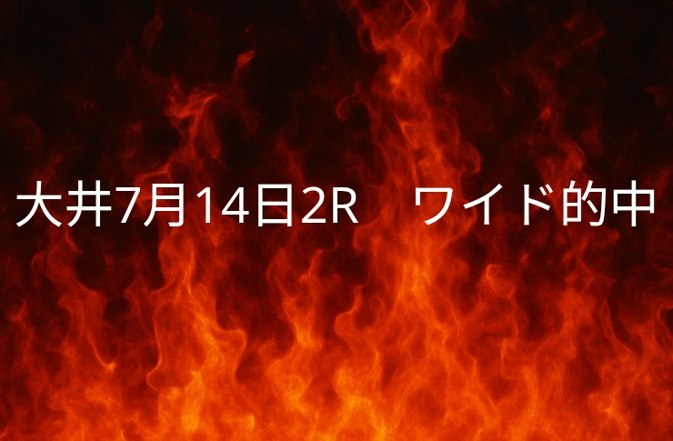 振り返り大井競馬７月１４日　２レース