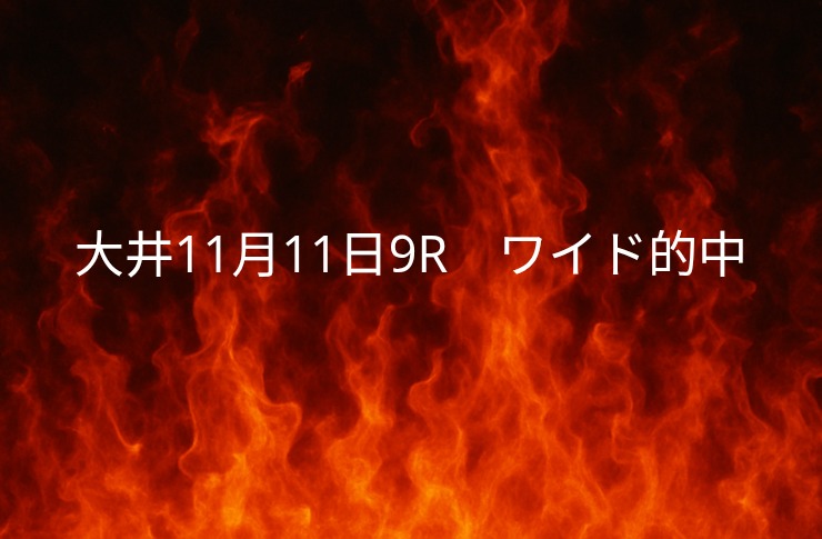 振り返り大井競馬11月11日　9レース