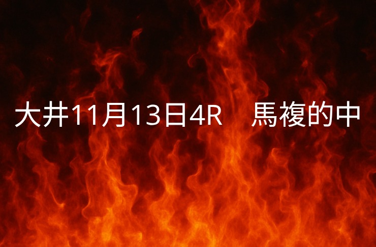振り返り大井競馬11月13日　4レース