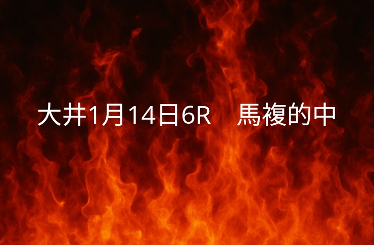 振り返り大井競馬１月14日　6レース